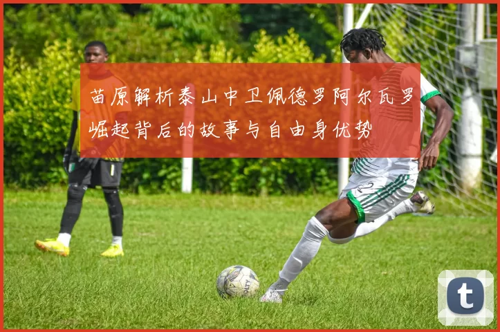 苗原解析泰山中卫佩德罗阿尔瓦罗崛起背后的故事与自由身优势